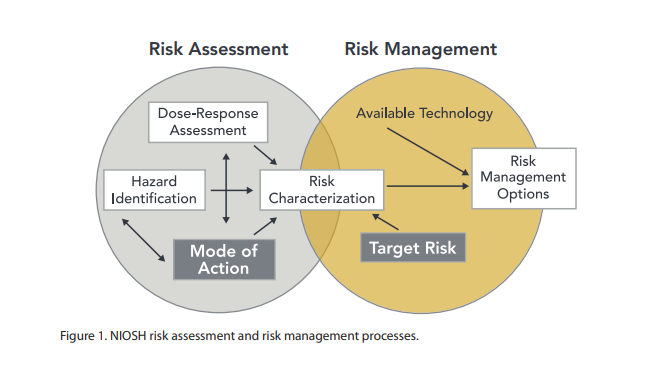 Risk assessment and management diagram